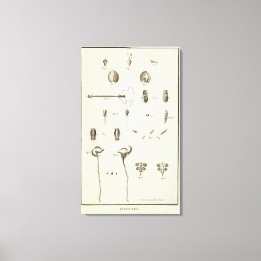 Alaska 5 leinwanddruck (Vorderseite)