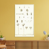 Alaska 5 leinwanddruck (Insitu (Wohnzimmer))