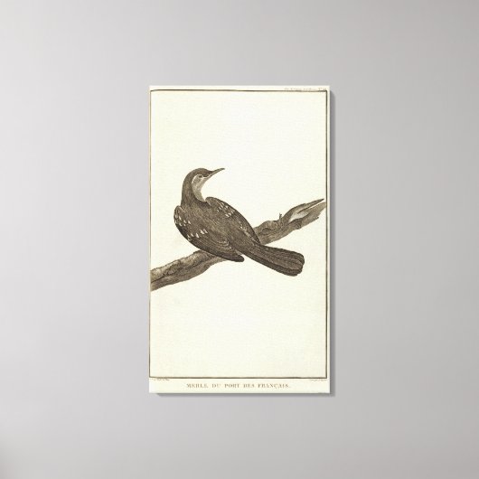 Alaska 6 leinwanddruck (Vorderseite)