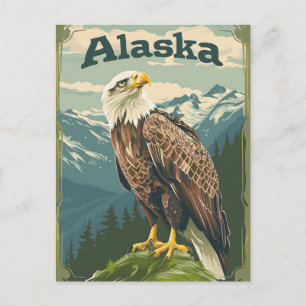 Alaska Bald Eagle Postkarte