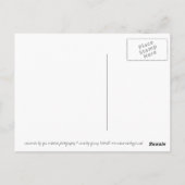 Alaska-Bär Postkarte (Rückseite)