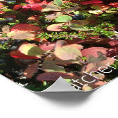 Alaska Berry Poster (Ecke)