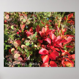 Alaska Berry Poster