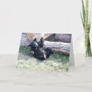 Alaska Black Bear Cub Grußkarte Karte