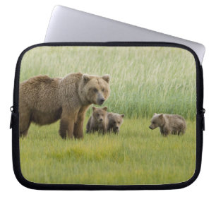 Alaska-Braunbär-Weibchen und drei Junge, Ursus Laptopschutzhülle