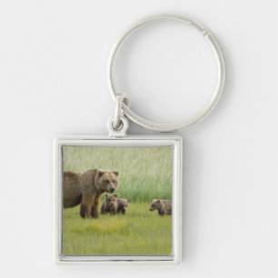 Alaska-Braunbär-Weibchen und drei Junge, Ursus Schlüsselanhänger