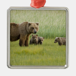 Alaska-Braunbär-Weibchen und drei Junge, Ursus Silbernes Ornament