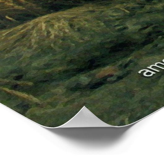 Alaska Brown Bear Poster (Ecke)