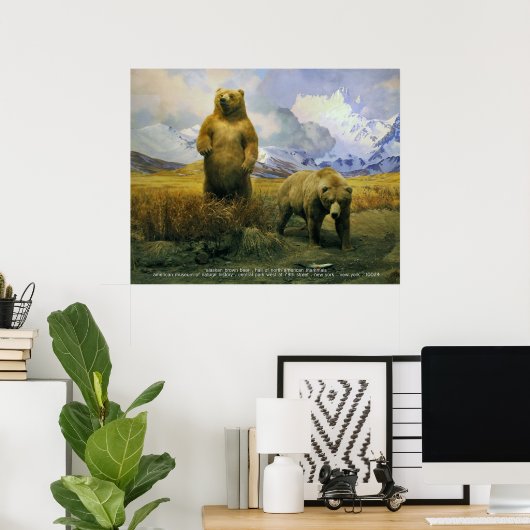 Alaska Brown Bear Poster (Heimbüro)