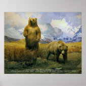 Alaska Brown Bear Poster (Vorne)