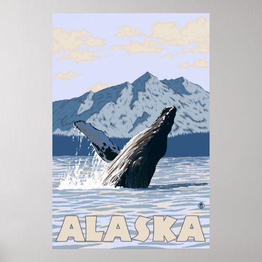 Alaska - Buckelwal Poster (Vorne)