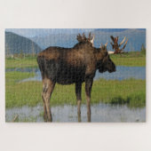 Alaska Bull Elche mit Rackantlern Landschaftlich i Puzzle (Horizontal)