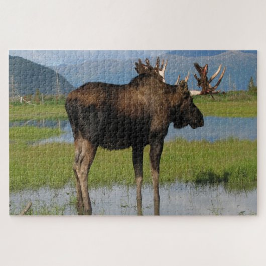 Alaska Bull Elche mit Rackantlern Landschaftlich i Puzzle (Horizontal)