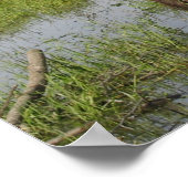 Alaska Bull Moose Antlers Foto entworfen Poster (Ecke)