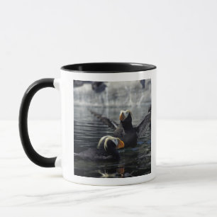 Alaska Büschelalke Tasse
