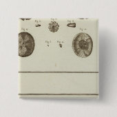 Alaska Button (Vorderseite)