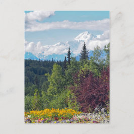 Alaska Denali Landschaft Floral Foto Postkarte