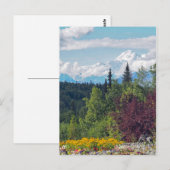 Alaska Denali Landschaft Floral Foto Postkarte (Vorne/Hinten)