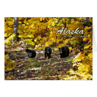 Alaska der Weg weniger gereist