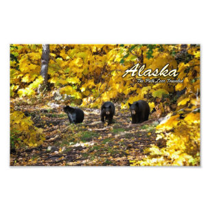 Alaska der Weg weniger gereist Fotodruck