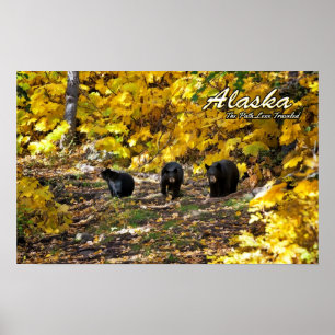 Alaska der Weg weniger gereist Poster