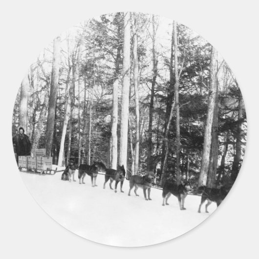 Alaska Dog Sledding Runder Aufkleber (Vorderseite)