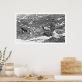 Alaska Dog Team Jagd 1912 Poster (Küche)