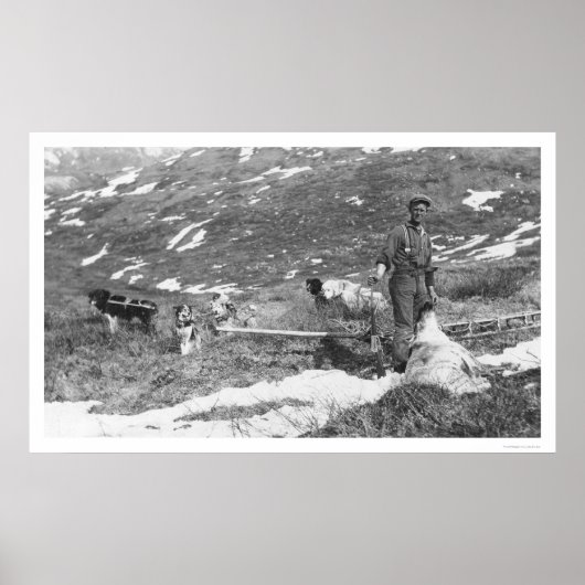 Alaska Dog Team Jagd 1912 Poster (Vorne)