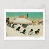 Alaska Dogsled Team in SnowState Postkarte (Vorderseite)