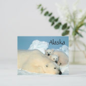 Alaska Eisbär mit Postkarte (Stehend Vorderseite)