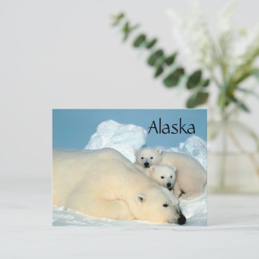 Alaska Eisbär mit Postkarte (Stehend Vorderseite)