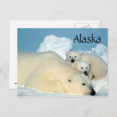 Alaska Eisbär mit Postkarte (Vorne/Hinten)