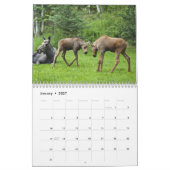 Alaska-Elche Kalender (Jan 2027)