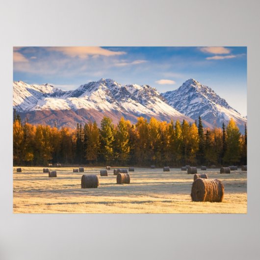 Alaska Farming Poster (Vorne)