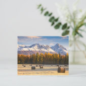 Alaska Farming Postkarte (Stehend Vorderseite)