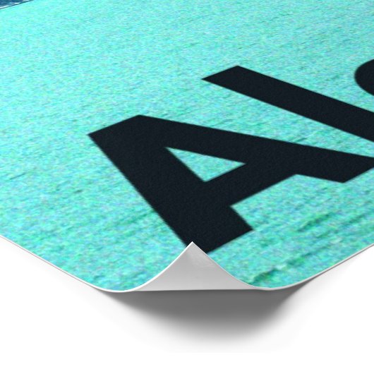 Alaska Ferry Poster (Ecke)