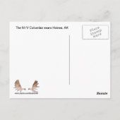 Alaska Ferry Postkarte (Rückseite)