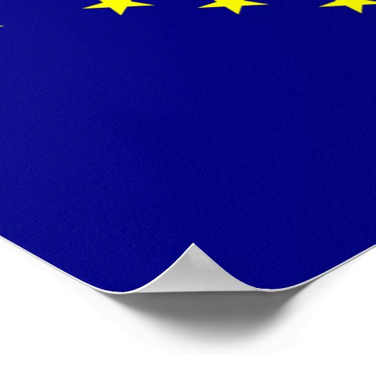 Alaska Flag Poster (Ecke)