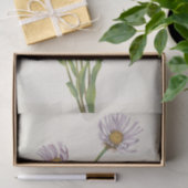 Alaska Fleabane von Mary Vaux Walcott Seidenpapier (Geschenk)