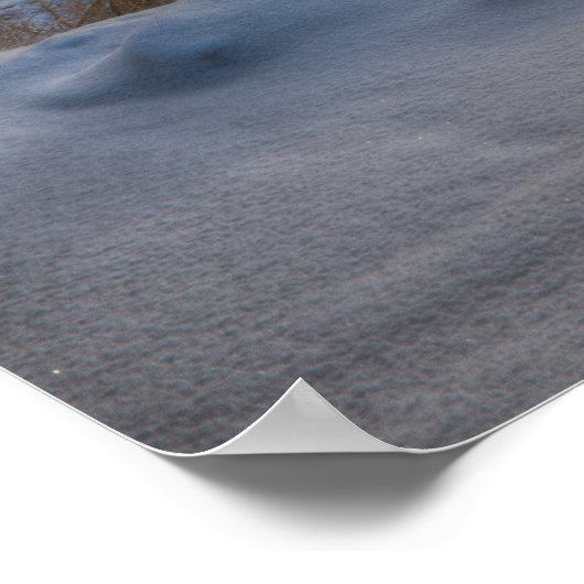 Alaska Freeze Poster (Ecke)