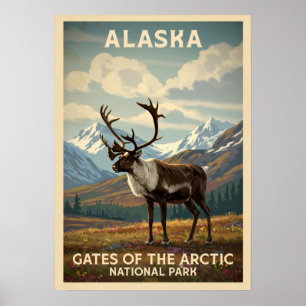Alaska Gates of the Arctic V03 Poster