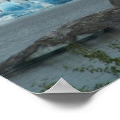 Alaska Glacier Poster (Ecke)