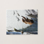 Alaska - Grizzly 1 Puzzle (Horizontal)