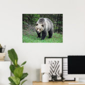 Alaska Grizzly Bar Wildlife Foto Poster (Heimbüro)