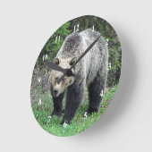 Alaska Grizzly Bar Wildlife Foto Runde Wanduhr (Winkel)