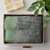 Alaska Grizzly Bar Wildlife Foto Seidenpapier (Geschenk)