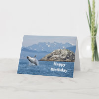 Alaska Humpback Whale Wildlife Foto Geburtstag