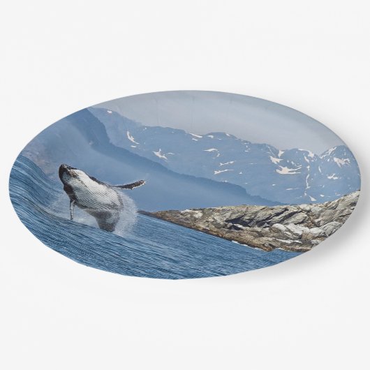 Alaska Humpback Whale Wildlife Foto Pappteller (Schrägansicht)