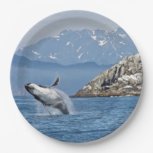 Alaska Humpback Whale Wildlife Foto Pappteller (Vorderseite)