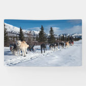 Alaska Husky Dog Sled Race Banner (Horizontal)